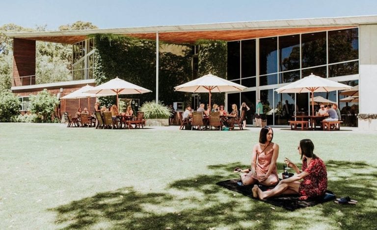 Howard Park MadFish Wines 768x469