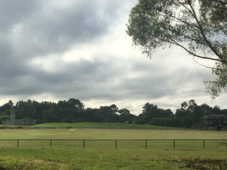 Kalora Park 86 768x576