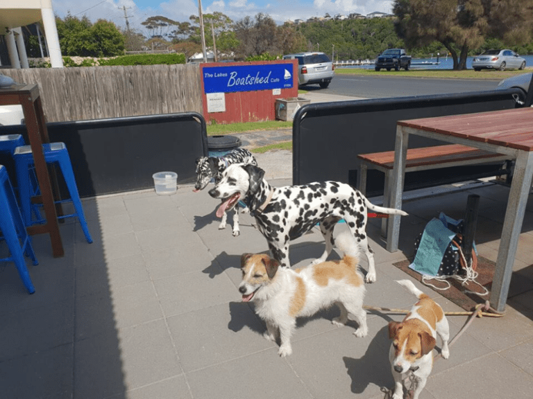 Lakes Boatshed Cafe 768x576