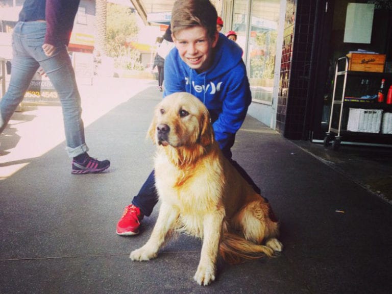 Limoncello 6 86 768x576