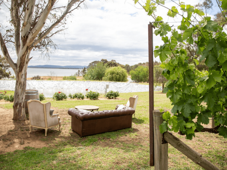 Posh Plonk Winery 768x576