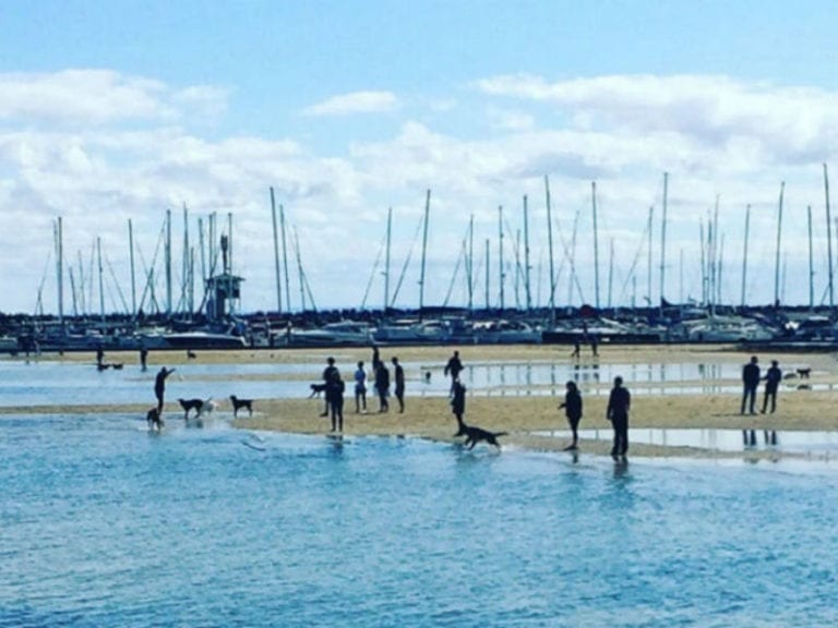 Sandown Street Beach 86 768x576
