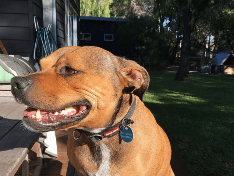 Snake and Herring Winery 768x576