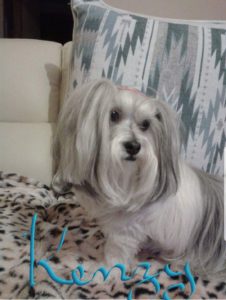 20180724 120209 226x300