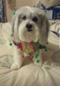 20181205 151527 210x300