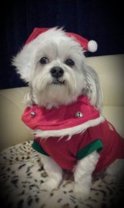 20181205 153233 180x300