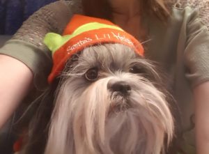 20200126 123202 2 300x221