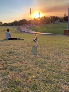 7C6BA754 3BF1 4EB5 8D9B 78D572E512D1 225x300