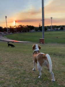 9CA2F4F2 A8DE 49A7 8AD3 684CFF4A35D6 225x300