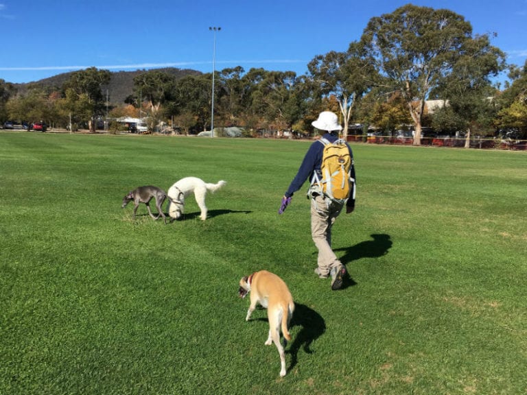 Ainslie Walk 86 768x576