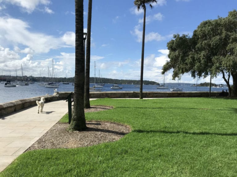 Beare park 86 768x576