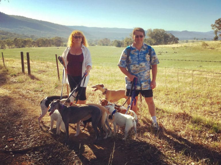 Cook Walk 2 86 768x576