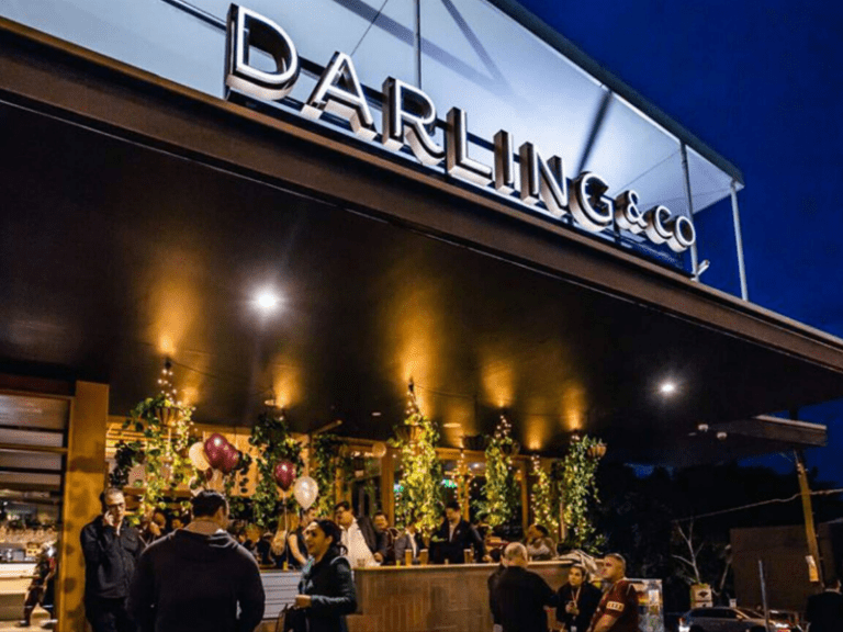 Darling Co 768x576