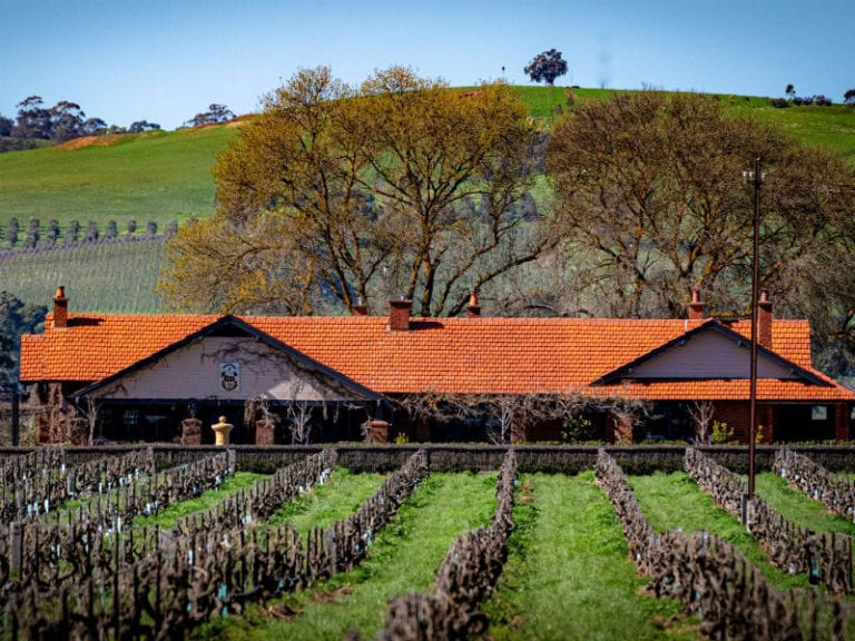 Elderton Wines 86 768x576