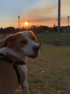 F3AE249B 6738 4FD3 A78C 567F7340DB09 225x300