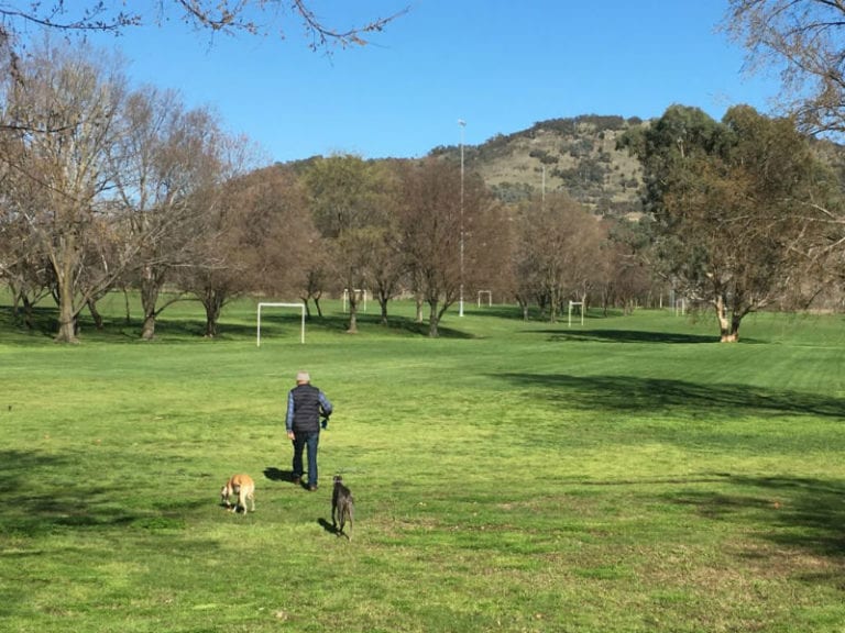 Farrer Mawson 86 768x576