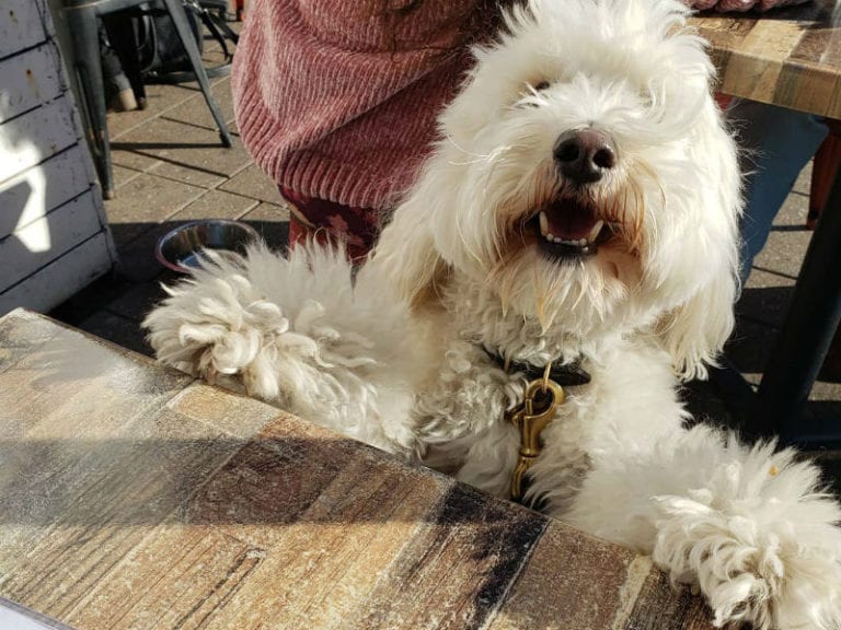 Hemingways Manly 3 86 768x576