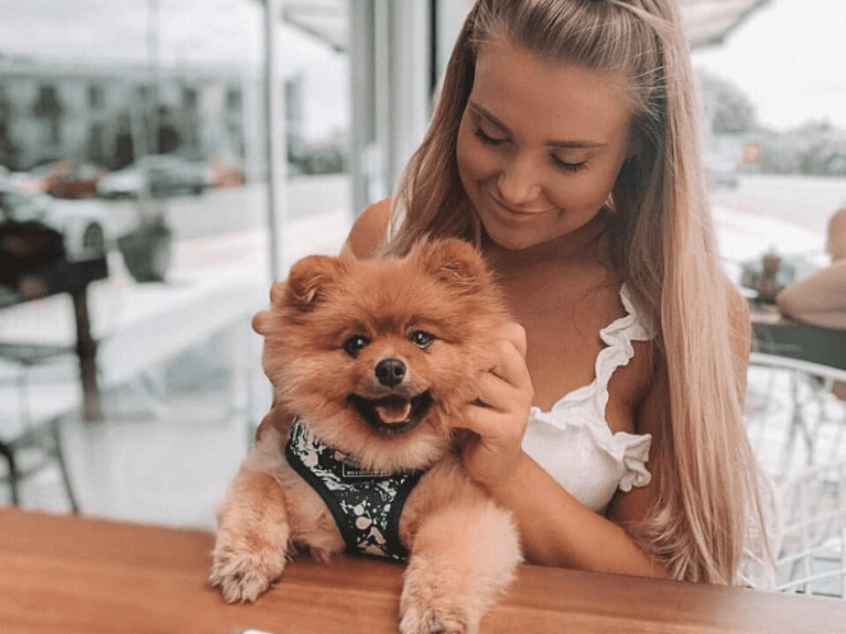 Hyde Away Cafe 768x576