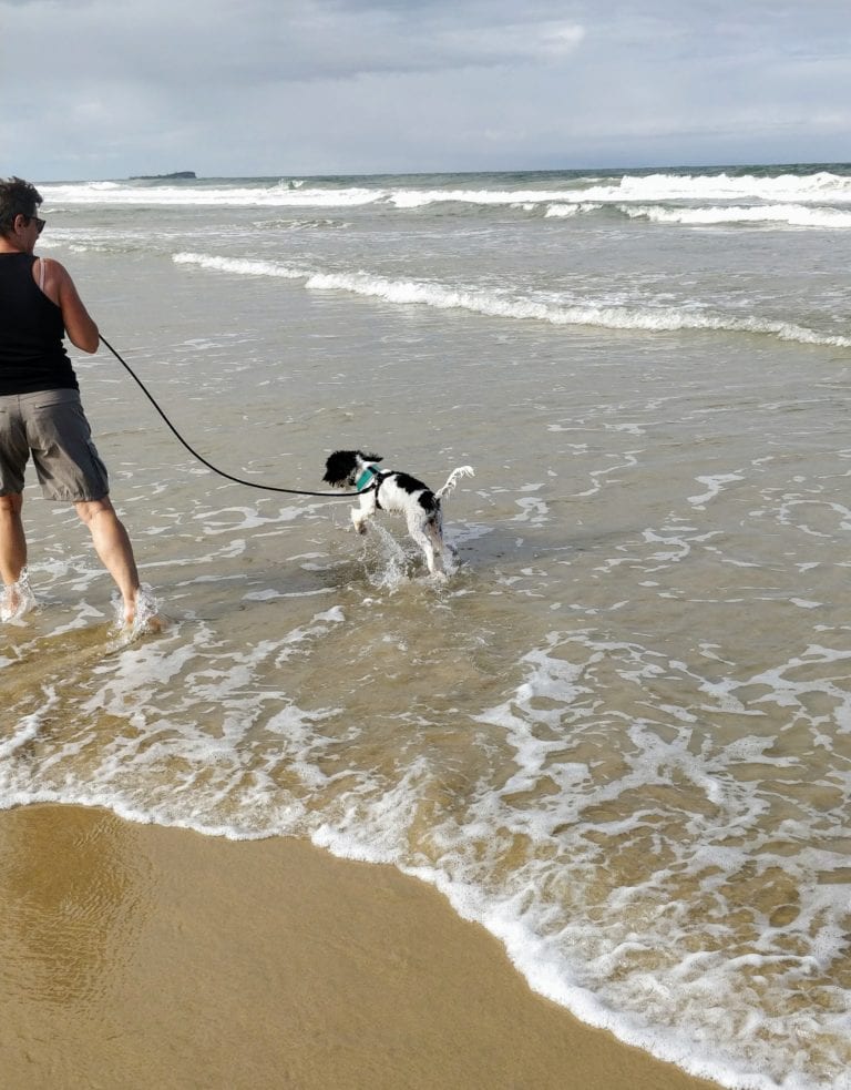 IMG 20200128 161517 768x983