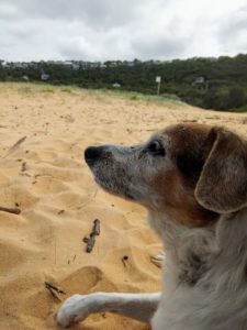 IMG 20200221 104126 225x300