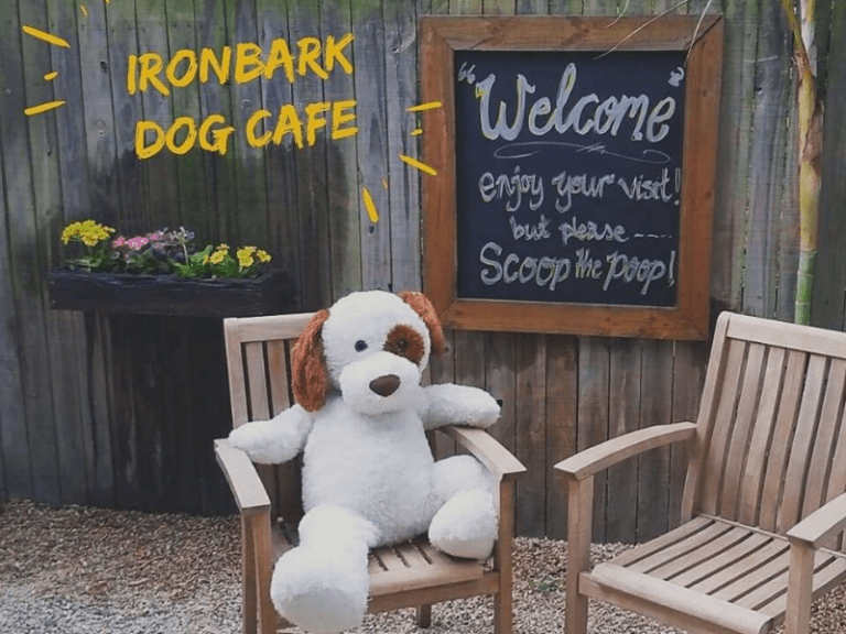 Ironbark Dog Cafe 768x576