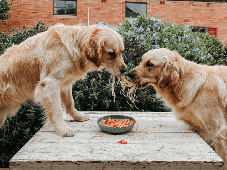 Lamezleighs Cafe Bar 768x576