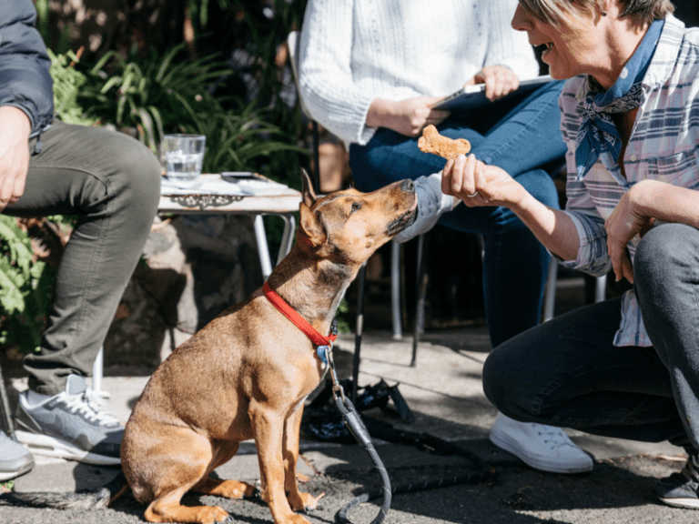 Lawson Grove Shop 768x576