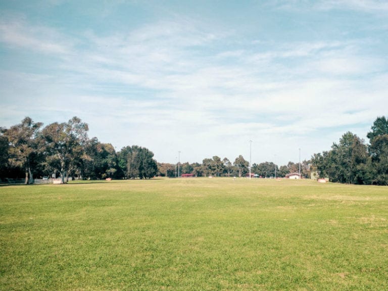 Majors Bay Reserve 86 768x576