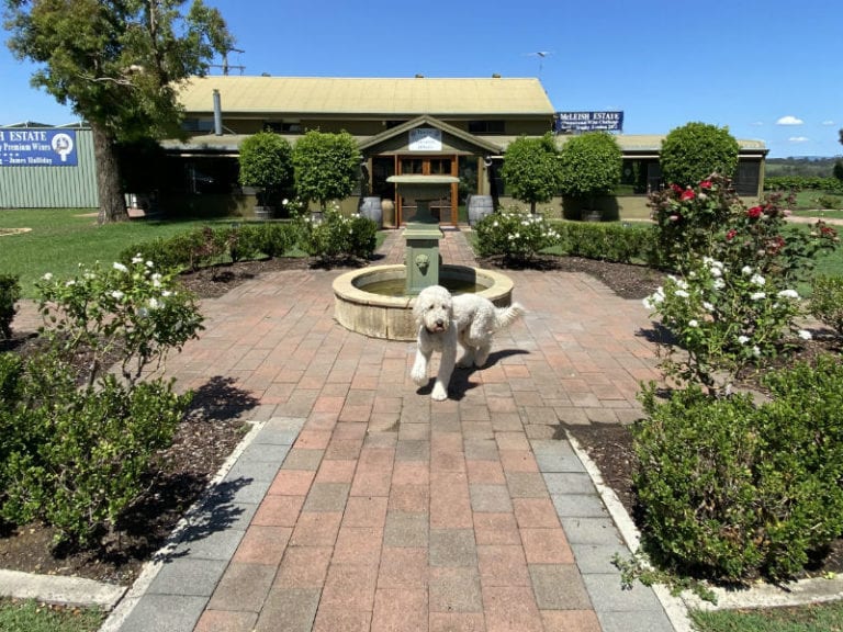 McLeish 10 86 cropped 768x576