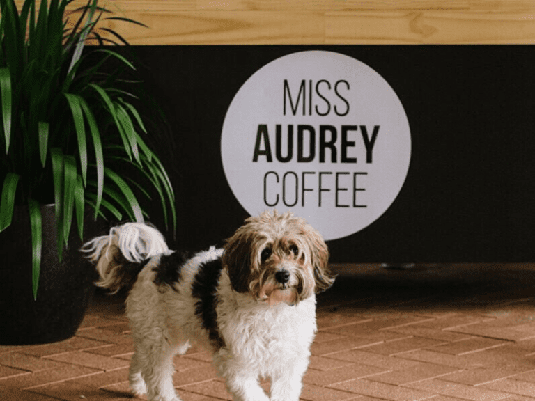 Miss Audrey Coffee 768x576