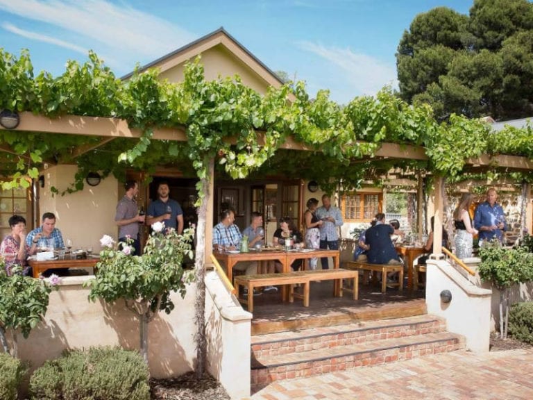 Murray Street Vineyards 1 86 768x576