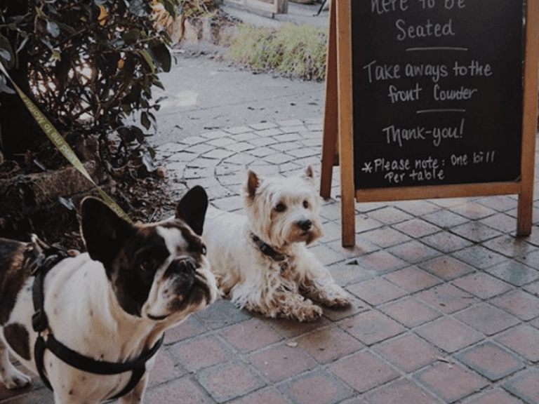 My Mistress Cafe 768x576