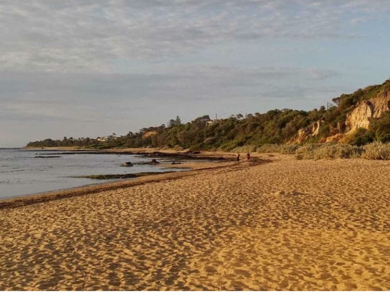 Ricketts Point Beach 86 1 768x576