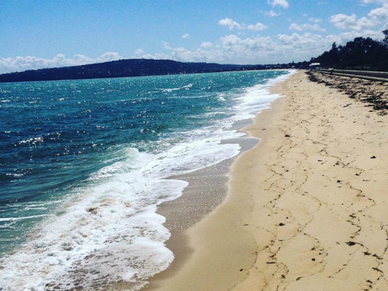 Rosebud Beach 86 768x576