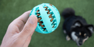 interactive-dog-toys-toothy-ball-furry-mates-20-products-blog