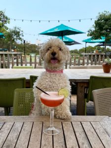 380473A4 A5BC 444B 96DF D1921EE1B8E4 225x300