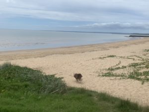 5F1D8AFE AA8B 4D0A 9BCB FB414F9DAF8C 300x225