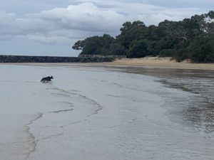 686D446D AC36 4E72 825C FA200790AF98 300x225