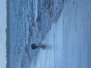 7BD20ED7 DA31 44C7 9C94 598D22BC8EF0 300x225