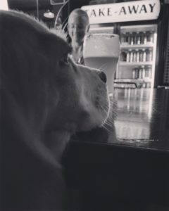 8240C8D2 92CB 464E AF2C 0DF2C21F6847 240x300