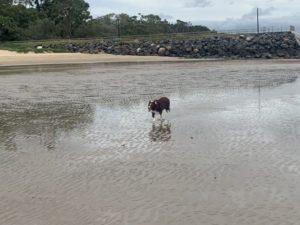 B7ADCBF0 0B16 40F8 AF9D 4A43BF20518C 300x225