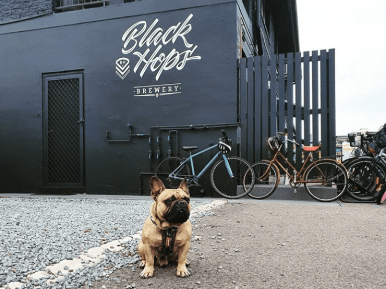 Black Hops Brewery 768x576