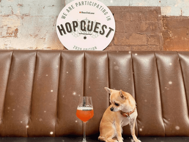 Bogriggy Brewing Co 768x576