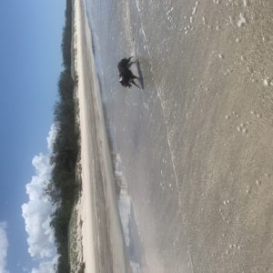 C698A60D 7F93 4E0C 88F7 F4DBDC61706E 300x300