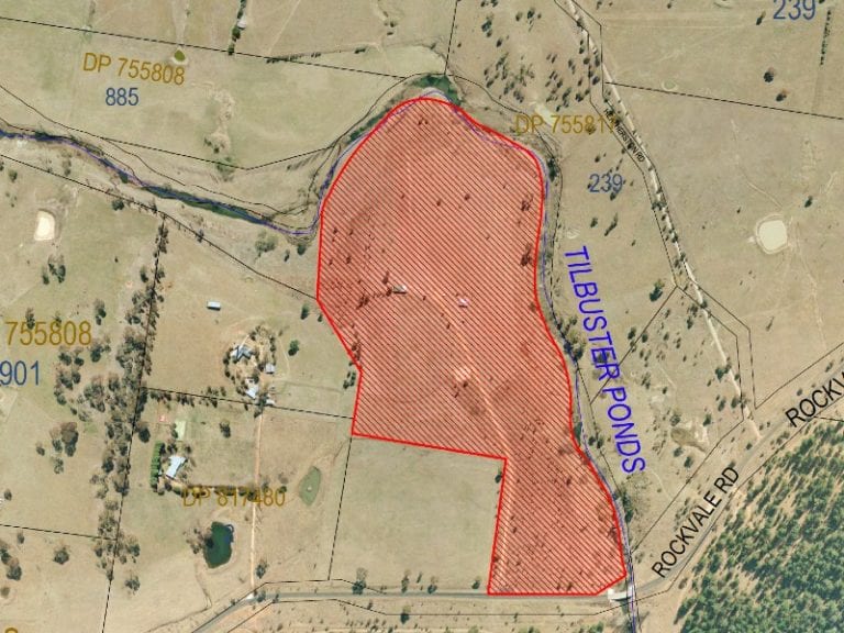 Charlston Willows 768x576