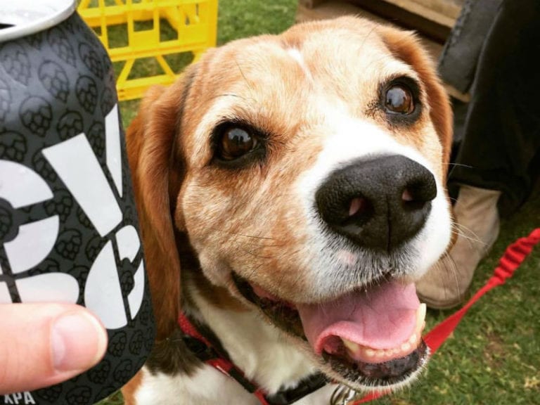 Clare Valley Brewing 2 86 768x576