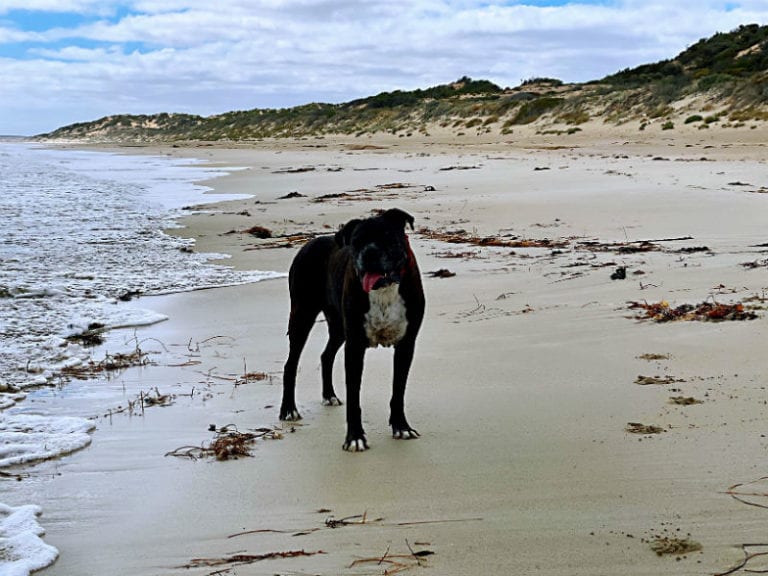 Gym Beach 2 86 768x576