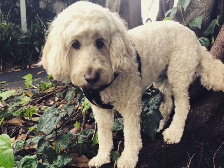 Isabell Hills Rest Area 86 768x576