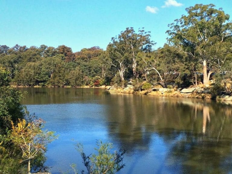 Lake Parramatta 86 768x576