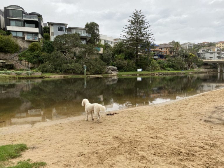 Manly Lagoon 86 768x576